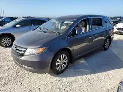 Salvage cars for sale at Arcadia, FL auction: 2014 Honda Odyssey EXL