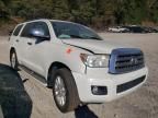 2013 Toyota Sequoia Platinum