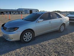 Toyota Camry le salvage cars for sale: 2003 Toyota Camry LE