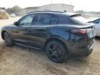 2024 Alfa Romeo Stelvio TI