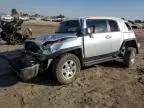 2007 Toyota FJ Cruiser