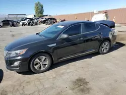 KIA Vehiculos salvage en venta: 2015 KIA Optima Hybrid