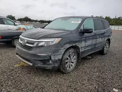 Flood-damaged cars for sale at auction: 2019 Honda Pilot EXL