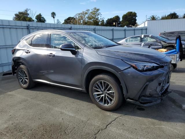 2024 Lexus NX 350H Base