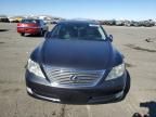 2009 Lexus LS 460