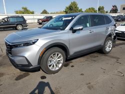 Salvage cars for sale at Littleton, CO auction: 2024 Honda CR-V EX