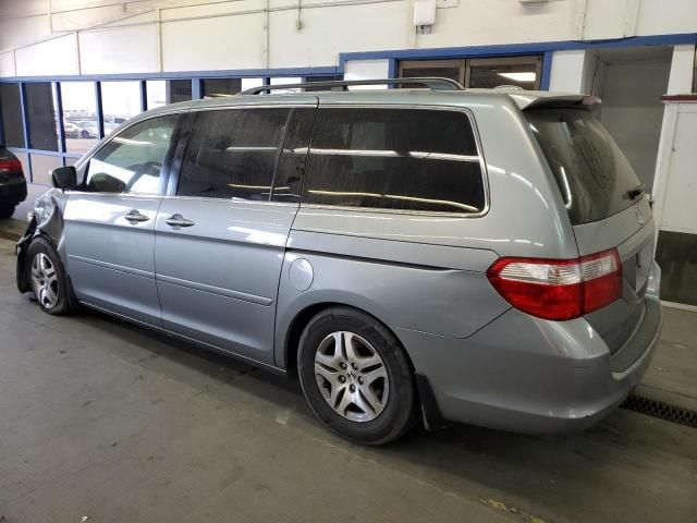 2005 Honda Odyssey EXL