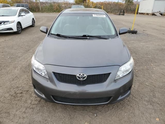 2009 Toyota Corolla Base