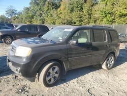 Salvage cars for sale at Waldorf, MD auction: 2015 Honda Pilot SE