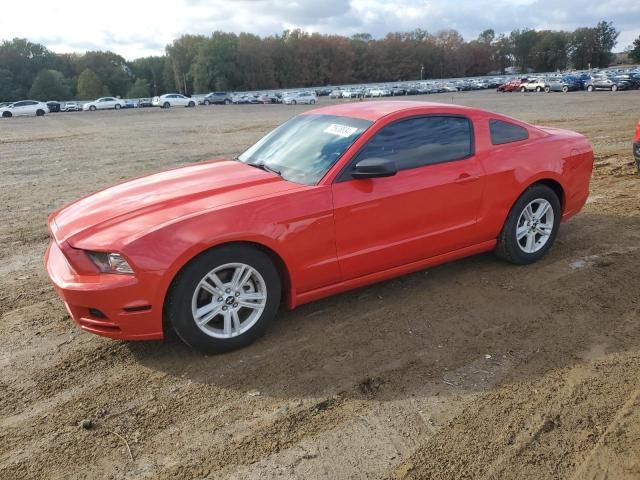 2014 Ford Mustang