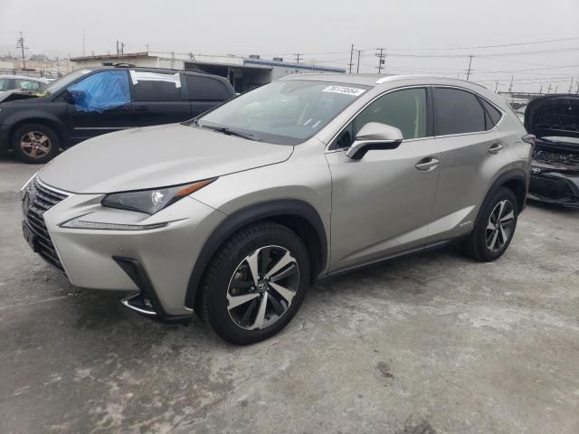 2020 Lexus NX 300H