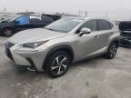 2020 Lexus NX 300H