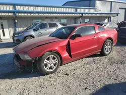 Salvage cars for sale at Earlington, KY auction: 2013 Ford Mustang