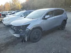 2021 Honda CR-V EXL en venta en Marlboro, NY