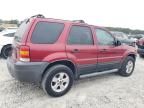 2006 Ford Escape XLT