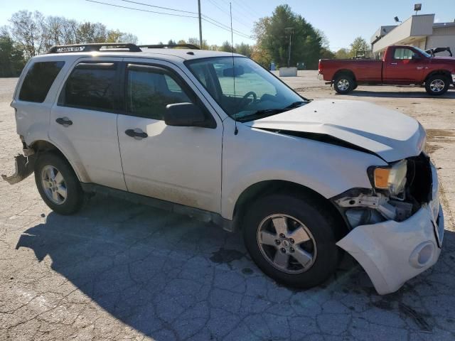 2011 Ford Escape XLT