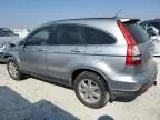 2007 Honda CR-V EXL