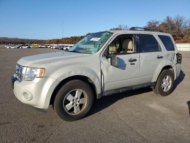 2009 Ford Escape XLT