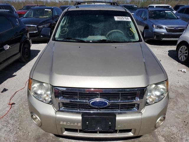 2010 Ford Escape XLT