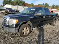 Ford Vehiculos salvage en venta: 2009 Ford F150 Supercrew