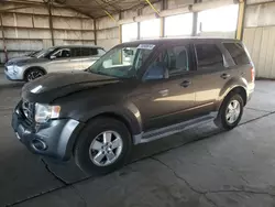 Salvage cars for sale at Phoenix, AZ auction: 2010 Ford Escape XLS