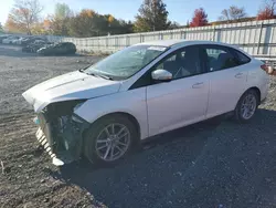 Ford Vehiculos salvage en venta: 2017 Ford Focus SE