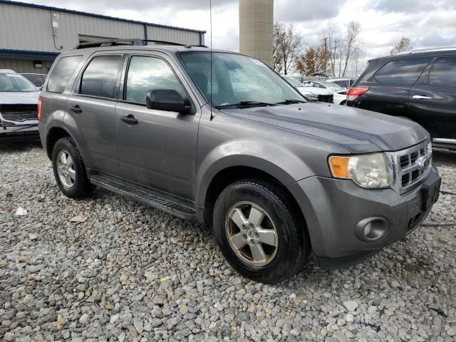 2010 Ford Escape XLT