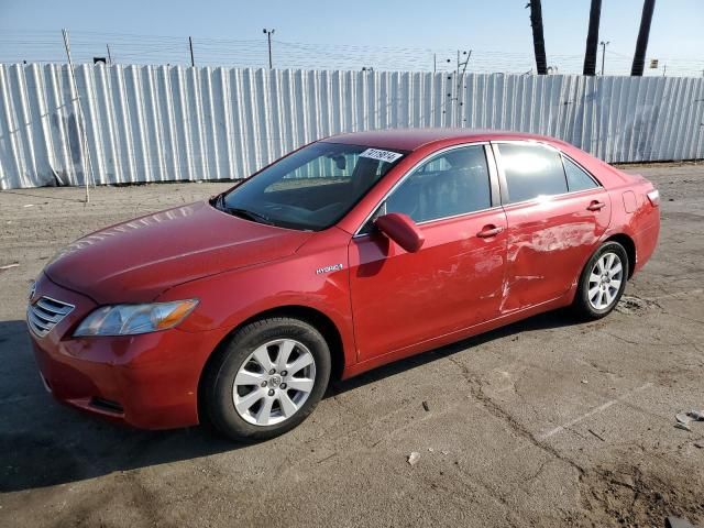 2009 Toyota Camry Hybrid