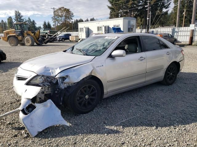 2010 Toyota Camry Hybrid