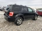 2010 Ford Escape Limited