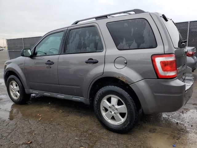 2011 Ford Escape XLT