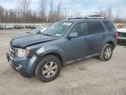 Salvage cars for sale at Leroy, NY auction: 2010 Ford Escape Limited