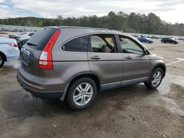 2010 Honda CR-V EXL