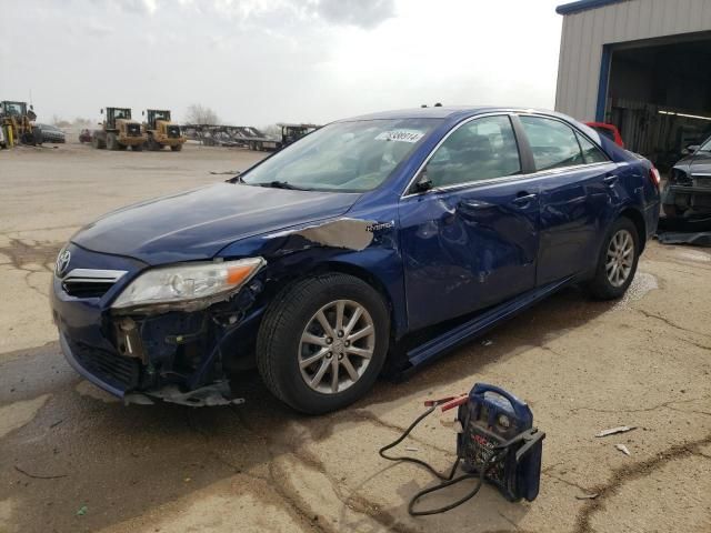 2010 Toyota Camry Hybrid