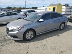 Carros híbridos a la venta en subasta: 2016 Hyundai Sonata Hybrid