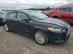 2013 Ford Fusion SE Hybrid