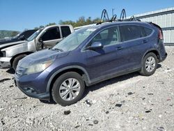 Salvage cars for sale at Lawrenceburg, KY auction: 2013 Honda CR-V EXL