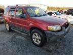 2007 Ford Escape XLT