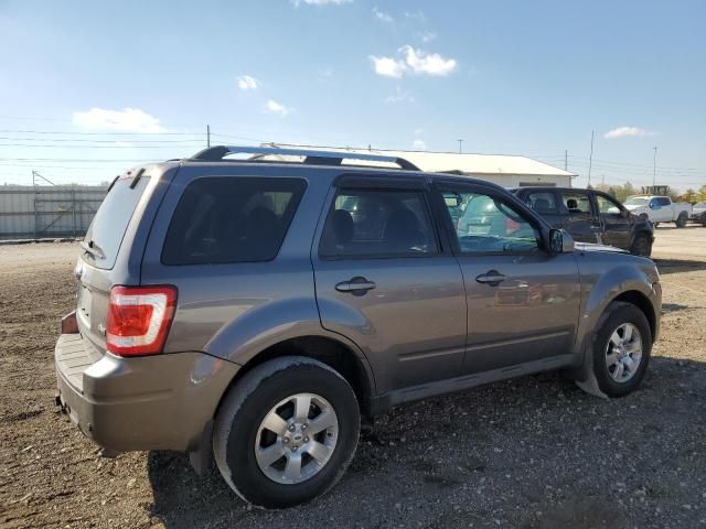 2010 Ford Escape Limited