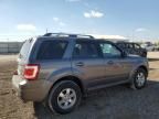 2010 Ford Escape Limited