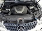 2006 Mercedes-Benz ML 350