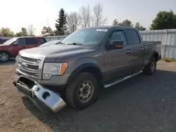 Salvage trucks for sale at Bowmanville, ON auction: 2013 Ford F150 Supercrew