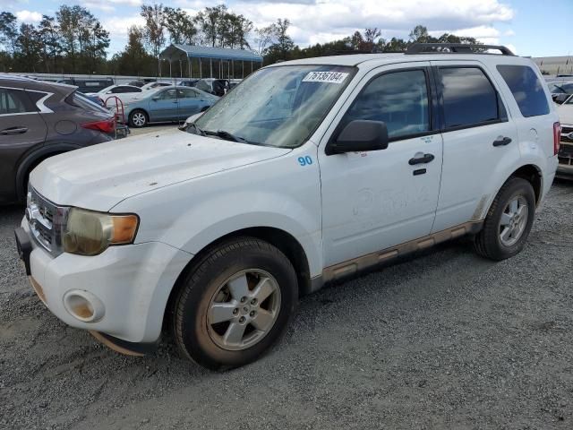 2010 Ford Escape XLT