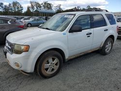 Carros salvage a la venta en subasta: 2010 Ford Escape XLT