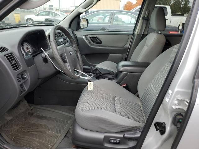 2005 Ford Escape XLT