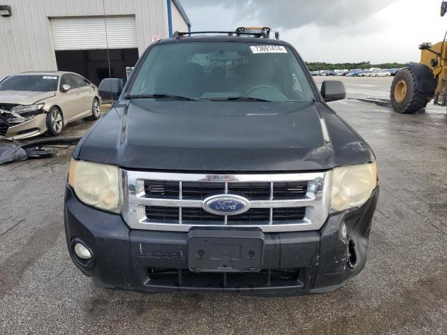 2008 Ford Escape XLT