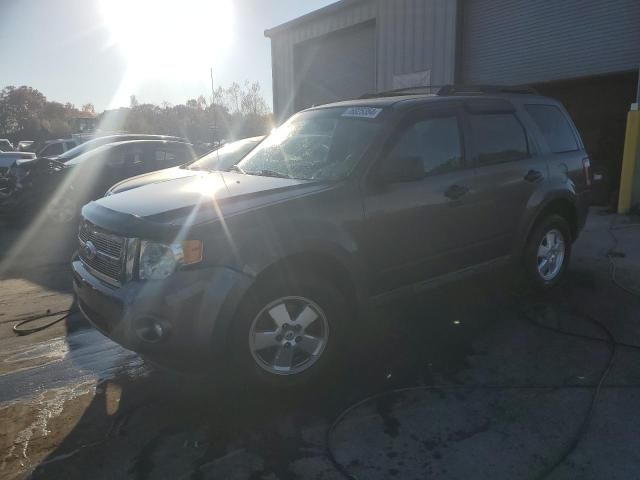 2011 Ford Escape XLT