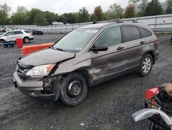 Honda salvage cars for sale: 2011 Honda CR-V SE