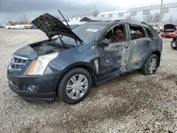 Cadillac Vehiculos salvage en venta: 2012 Cadillac SRX Luxury Collection