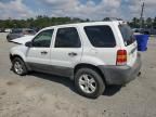 2005 Ford Escape XLT